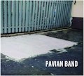 Pavian Band